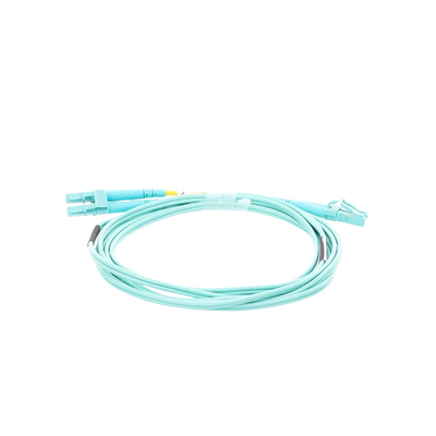 LP-FOM4-LCLC-R02 - 4