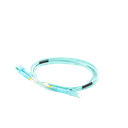 LP-FOM4-LCLC-R02 - 5