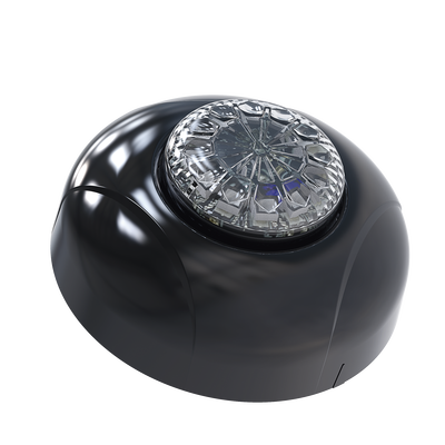 Estrobo Oculto de 12 LED, Brida negra, 12 Vcd, Rojo/Azul, Lente transparente | SPF12RB