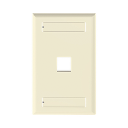 [NK1FEIY] Placa de Pared Vertical, Salida Para 1 Puerto Keystone, Con Espacios Para Etiquetas, Color Marfil | NK1FEIY